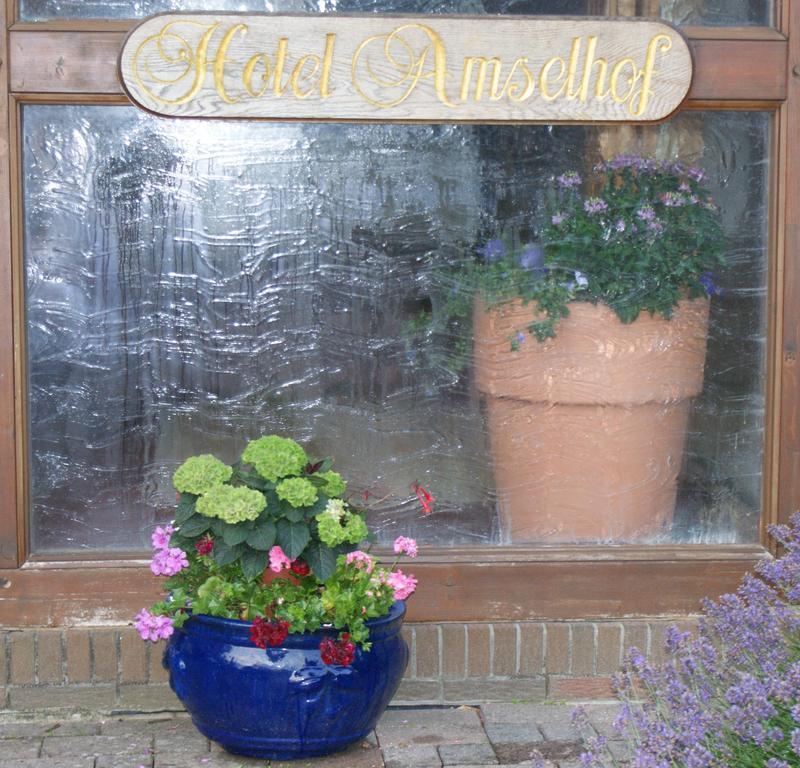 Hotel Amselhof Bispingen Extérieur photo